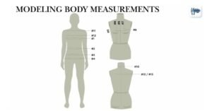 Modeling Body Measurements