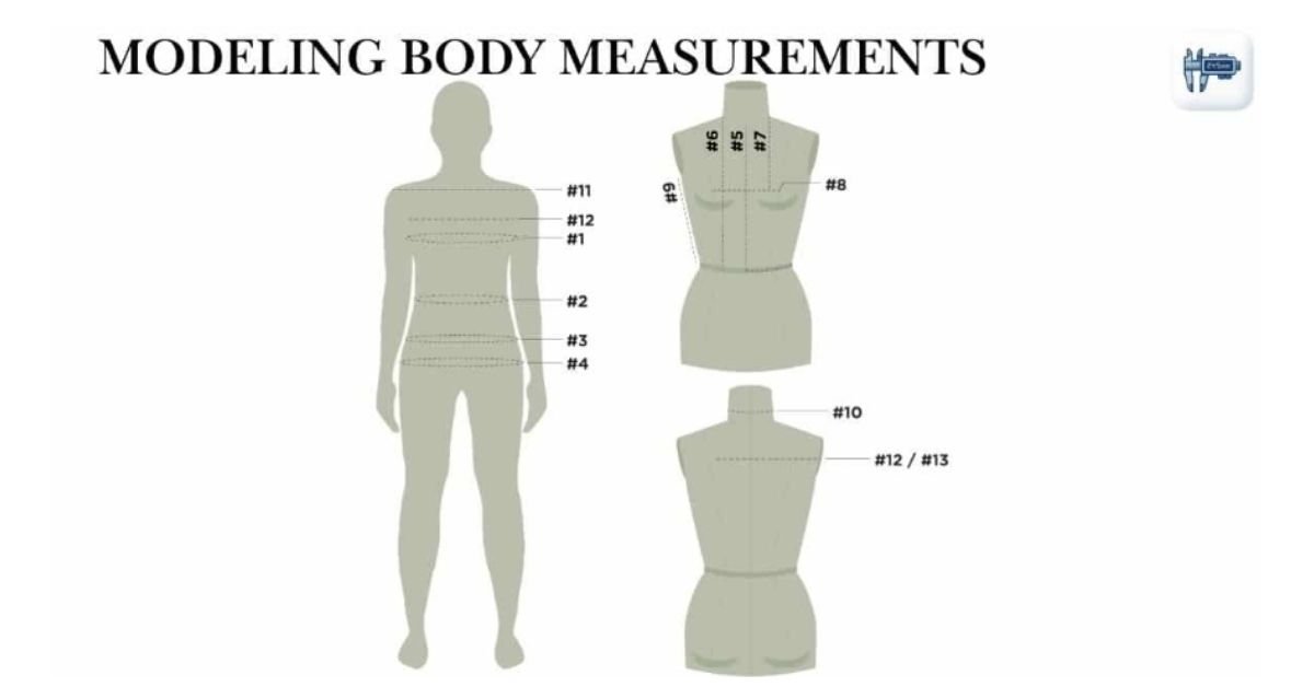 Modeling Body Measurements